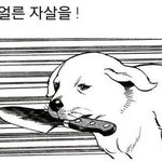 [EXO] 대한민국1위께서정체성에혼란<b>오심</b>ㅠㅠ