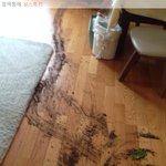 [널스토리] <b>우와</b>아아아아아아아아아아아아아ㅏ!!!!!