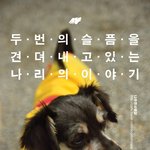 [유기견] [나주천사의집/<b>요키</b>] 두번의 슬픔을 견뎌내고 있는 나리의...