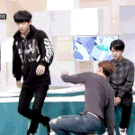 [EXO] 오구오구ㅠㅠ궁디 만지;;;;고싶다ㅠㅠ