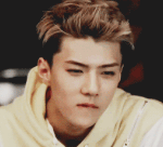 [EXO] 투표수차이 어쩔거