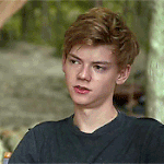 [뉴트] <b>설겆이</b> 하기 귀찮음 