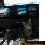 [뱅갈] 아구짝아구짝!!!