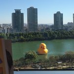 다들 본다는 제2롯데월드 <b>러버</b>덕 보고 옴