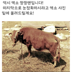 [EXO] ㅋㅋㅋㅋㅋ<b>지식</b>인현웃ㅋㅋㅋㅋㅋ