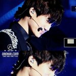 [뉴트] 기준면 얘 왜안옴ㅠㅠ