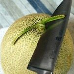 [EXO] 시발<b>뮤</b>비고뭐고멜론이고