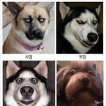 [베스트클릭] 공감대방출!! 직장인이라면 ㅋㅋㅋㅋㅋㅋ