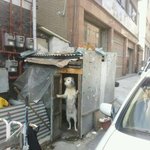 [썰모아] <b>대문</b> 앞에 차 좀 대지 마라