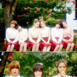 [에이핑크] 에이핑크 5집 티저 이미지 표절논란