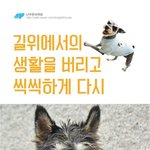 길위에서 발견된 천사, <b>씩씩</b>이가 좀 더 <b>씩씩</b>해 질 수 있도록...