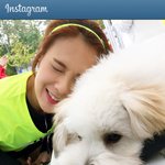 [추억파리여] 채연도 잊지않었던 <b>눈물셀카</b> 드립