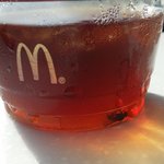 [꼭봐주세요] 위생불량 맥도날드 파리 커피