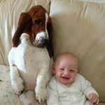 <b>케미</b> 돋는 반려동물들과 아기