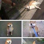 [EXO] 고딩들아 지금 <b>문이</b>과 바꿀수있어?