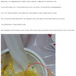 [추억파리여] 롯데리아 <b>콘샐러드</b>에서 사람털 발견