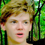 [뉴트] 난 왜 서양인이 아닐까