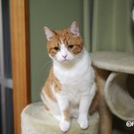 [유봉이네] 소름주의(유봉이네)