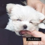 [EXO] 됴줌아 <b>all</b> of me나 들어ㅎㅎ