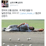 [썰모아] <b>정근우</b>의 산란기