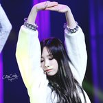 [EXO] 백현팬들아 너네 기펴고 나대고싶으면