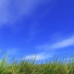 <b>목동</b> 신천지, <b>목동</b> 공원 신천지, <b>목동</b> 신천지 아파트 공원