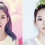 [레드벨벳] 레드벨벳 슬기 닮은꼴봐봐..