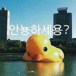 [EXO] 아니시발이게뭐야