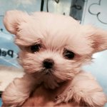 [EXO] 너네 추리 <b>문답</b> 풀어봐