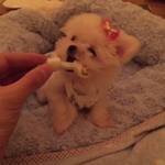 [타오] 타오 메이파이에 <b>리본</b>핀 ㅋㅋㅋ