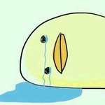 [꼭댓글부탁] 겨드랑이 <b>색소</b>침착 있으신 분???