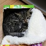 지하 주차장에서 아기 <b>꼬물</b>이를 구했습니다.