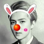 [뉴트] 나 이뇬도<b>사칭</b>함