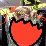 이 <b>식물</b> 이름이 뭘까요?