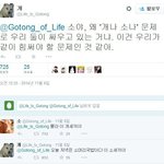 [널스토리] 진돗개 트위터.jpg