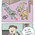 [널스토리] 하하... <b>멍청</b>한 동물들..