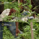 [널스토리] 전 정직하게 땀흘려 일하고 돈을 법니다.<b>jpeg</b>