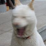 [EXO] <b>체대</b>가면 솔까 미래가 어떰?