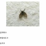 [EXO] 세상에서 제일 <b>둔한</b>생명체ㅋㅋㅋㅋㅋ