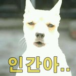 작은 스마트폰의 발전... 놀랍당 맵피<b>ios</b>버전 짱짱맨