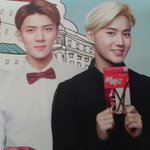 [EXO] 완전의문스런<b>빼빼로</b>포스터