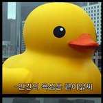[EXO] 뉴라이1트는 <b>추측</b> 맞지??