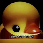 [EXO] 씨뱔 엑<b>셀들</b>은 전생에 무슨 죄를 졌길래