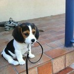 [널스토리] 학창시절 교련선생 좆나게 맞은 썰.ssul