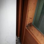 [꼭조언부탁] 더럽고거지같은 !<b>청소업체</b>