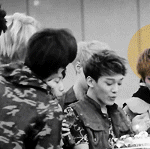 [EXO] 카트 팬인거티안내고