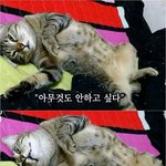 내가 직장생활 오래한건 아니지만 별 이상한 경우를 다보네요.