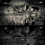 [검객] 푸른 눈의 호랑이