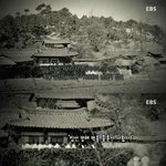 [추억파리여] 조선시대의 <b>타짜</b>