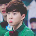 [EXO] 뭐 판은 어려서 상황<b>파악</b>이안된다?